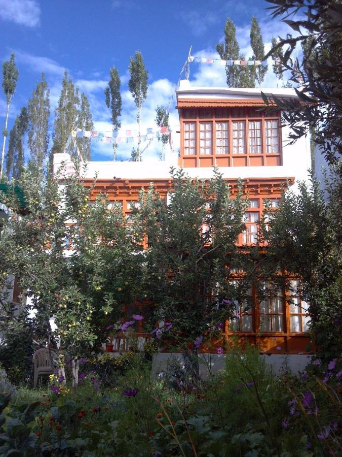 Thangkop House Leh Exterior photo